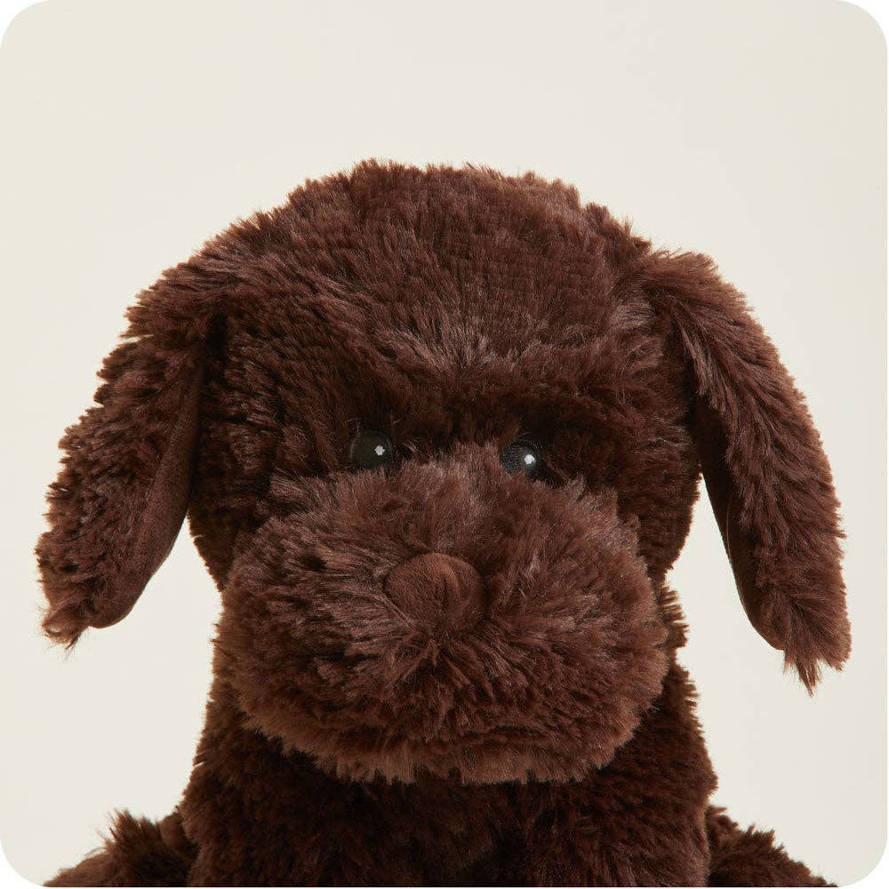 CHOCOLATE LABRADOR WARMIES 12"