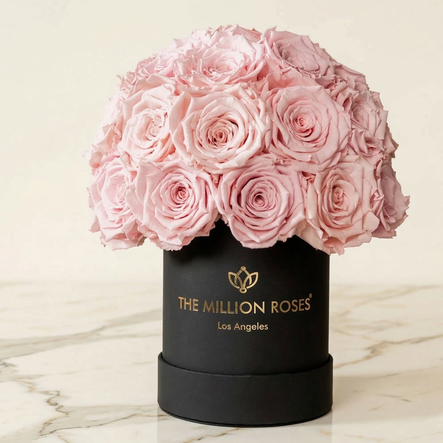 Essence Black Superdome Box | Light Pink Roses