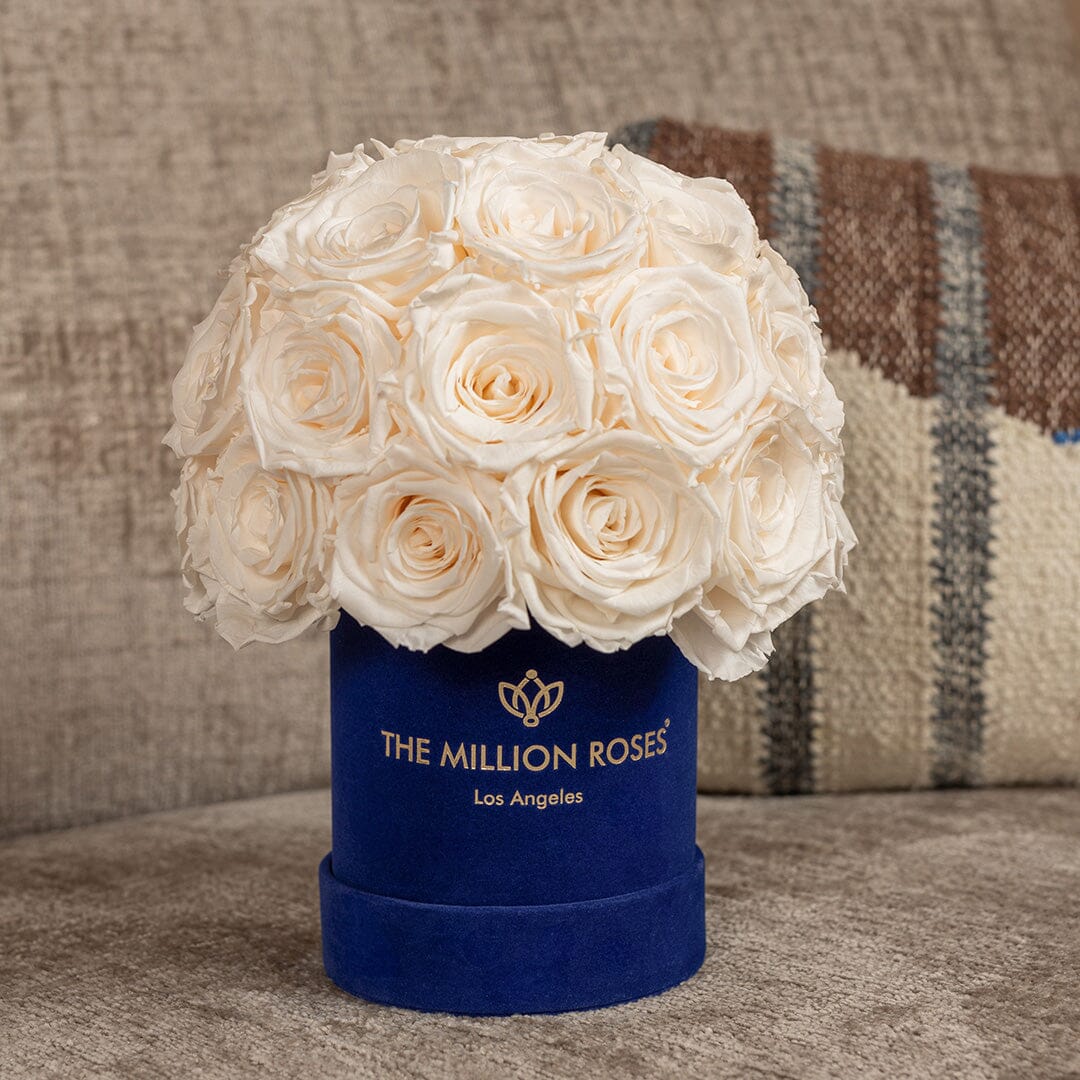Essence Royal Blue Suede Superdome Box | White Roses
