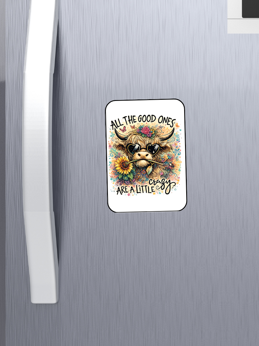 SNARKY AND FUN KITCHEN MAGNETS | READ AT YOUR OWN RISK