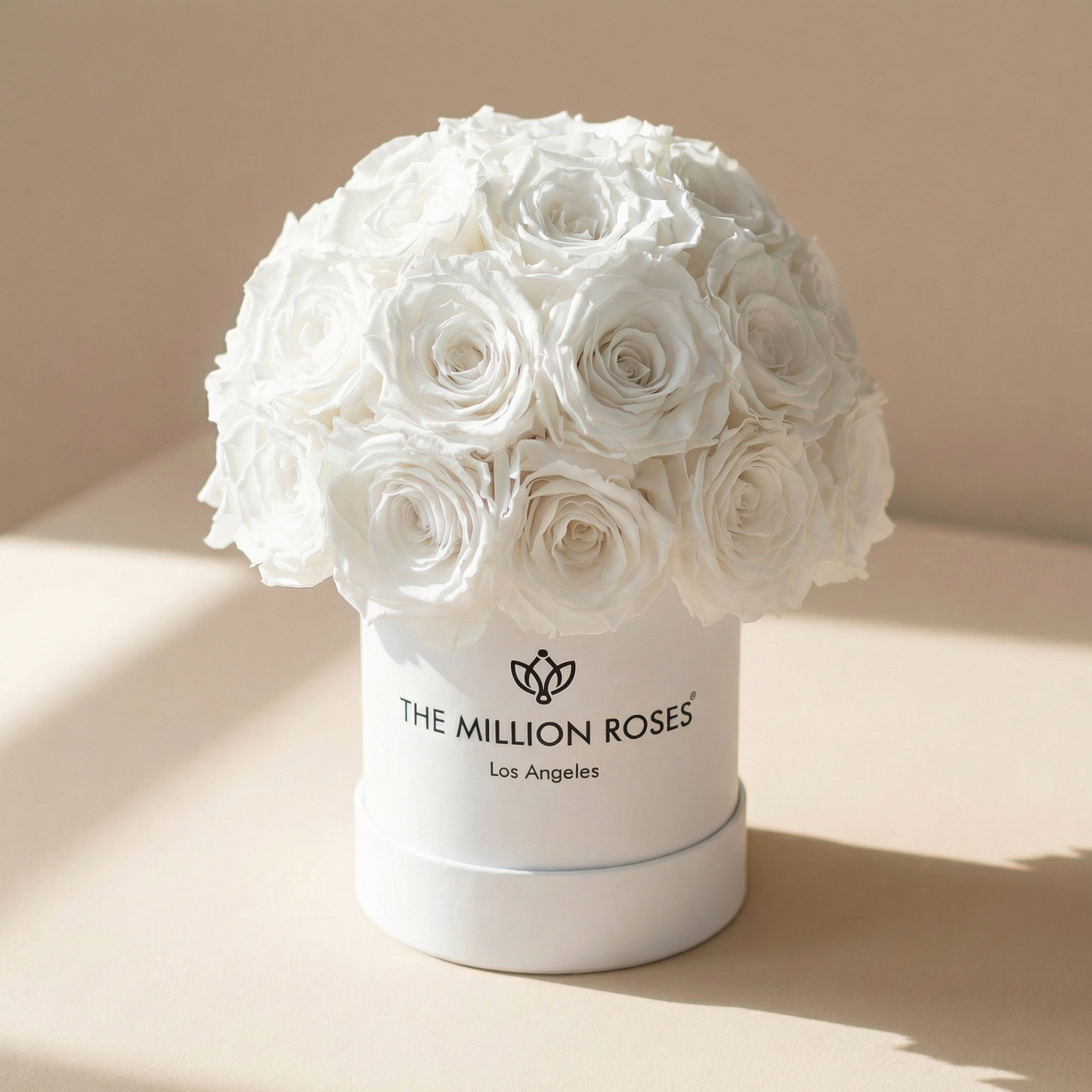 Essence White Superdome Box | White Roses