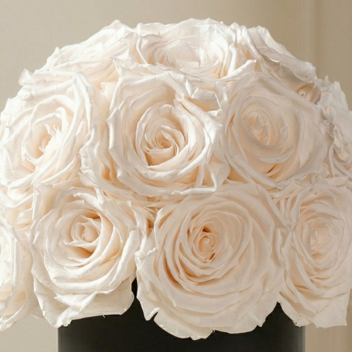 Essence Black Superdome Box | White Roses
