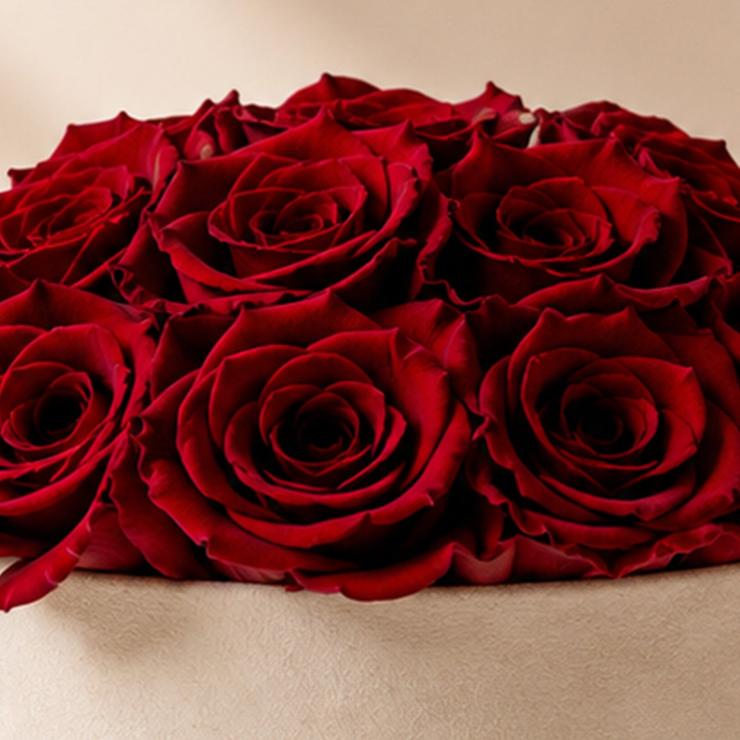 Classic Beige Suede Dome Box | Red Roses
