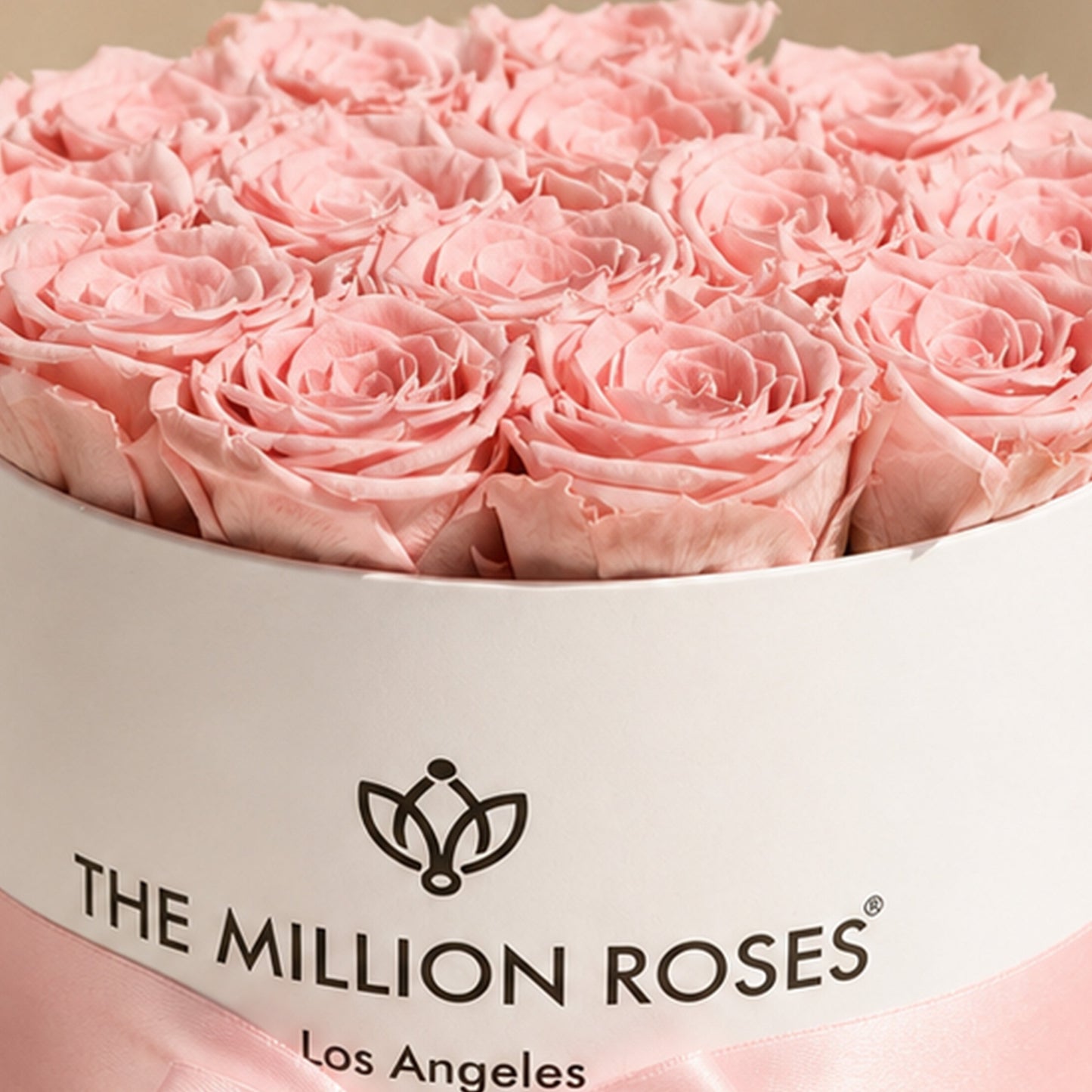 Classic White Box | Light Pink Roses