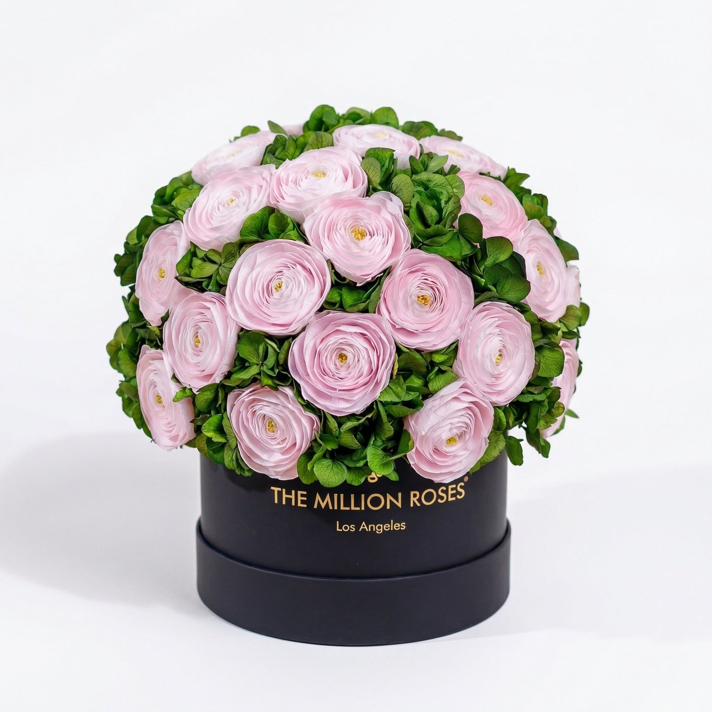 Classic Black Box | Light Pink Persian Buttercups & Green Hydrangeas