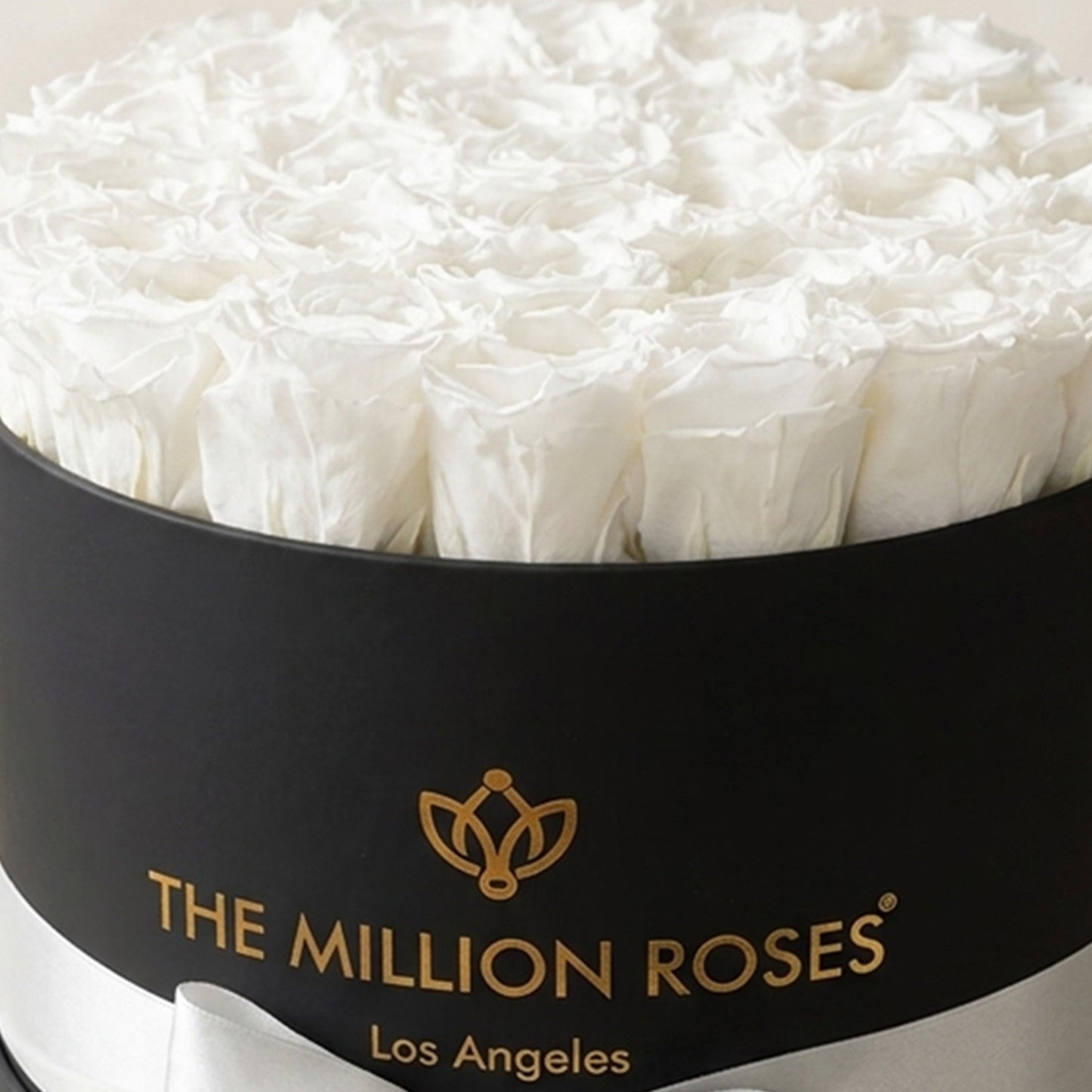 Supreme Black Box | White Roses