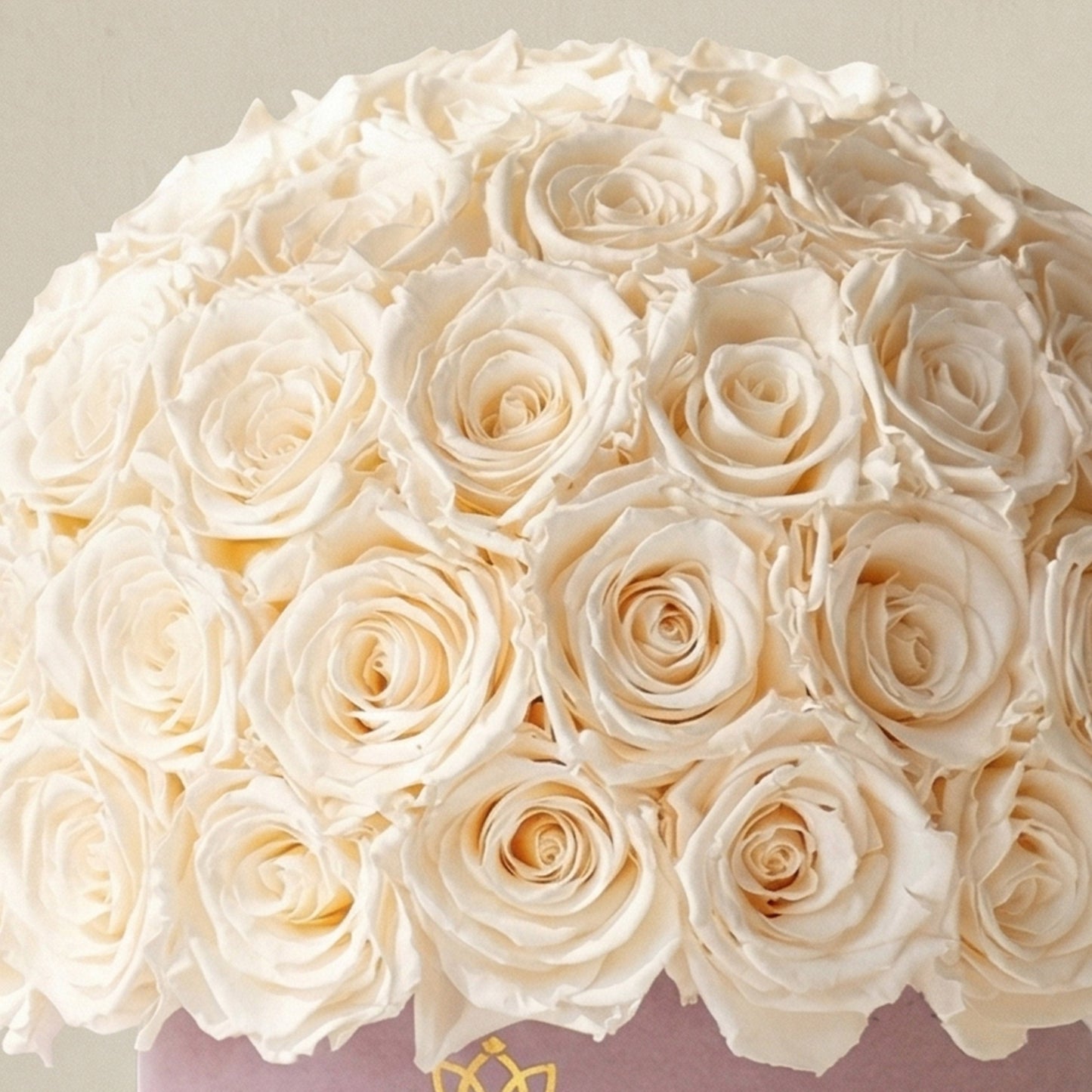 Classic Light Pink Suede Superdome Box | White Roses