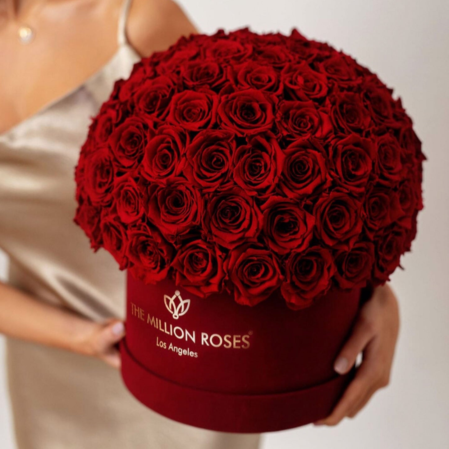 Supreme Bordeaux Suede Superdome Box | Burgundy Roses