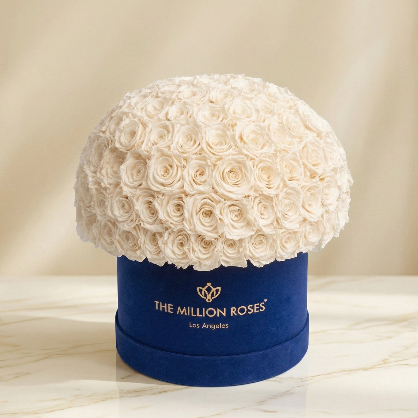 Supreme Royal Blue Suede Superdome Box | White Roses
