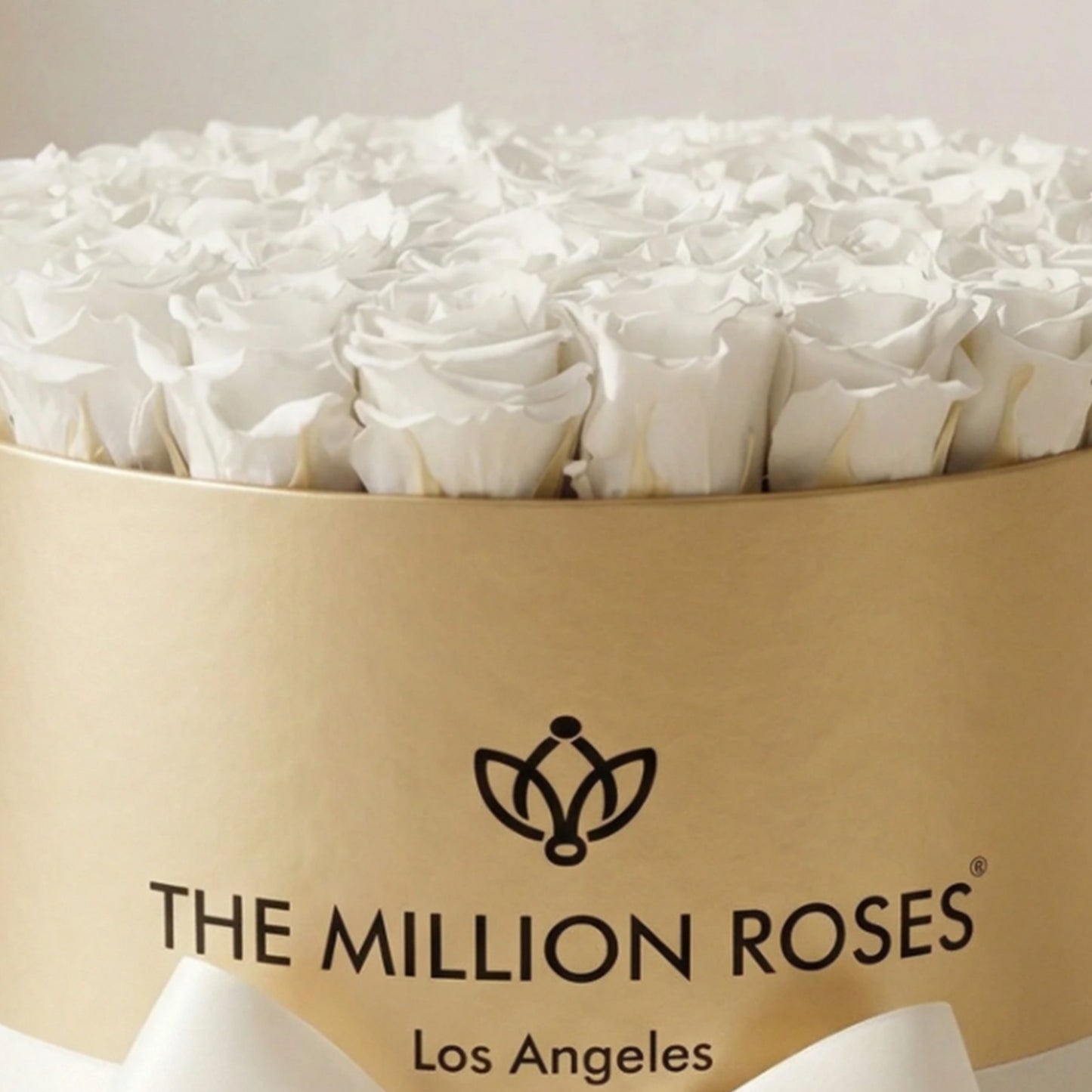 Supreme Gold Box | White Roses