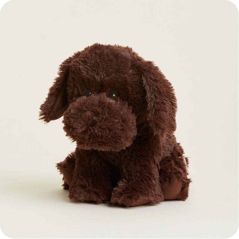 CHOCOLATE LABRADOR WARMIES 12"