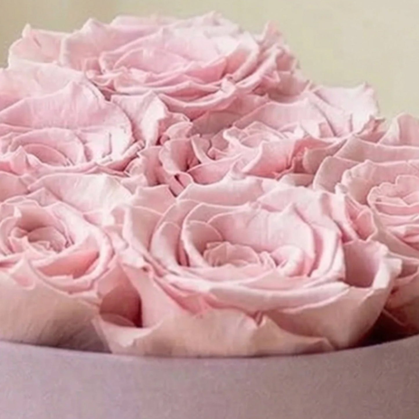 Baby Heart Light Pink Suede Box | Light Pink Roses