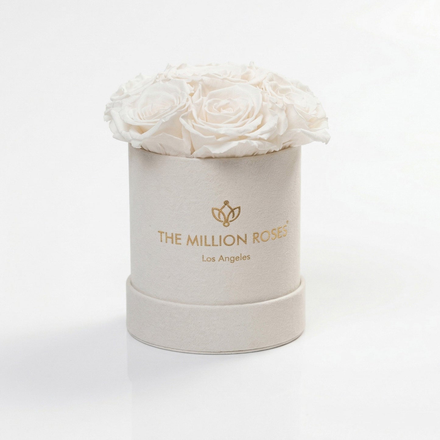 Essence Beige Suede Box | White Roses