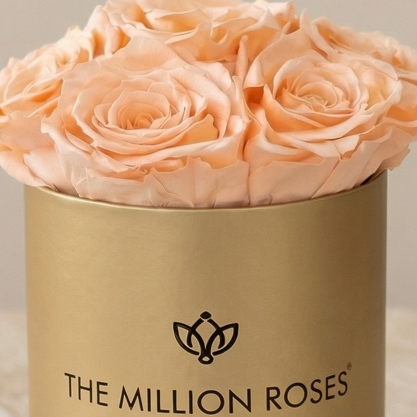 Essence Gold Box | Peach Roses