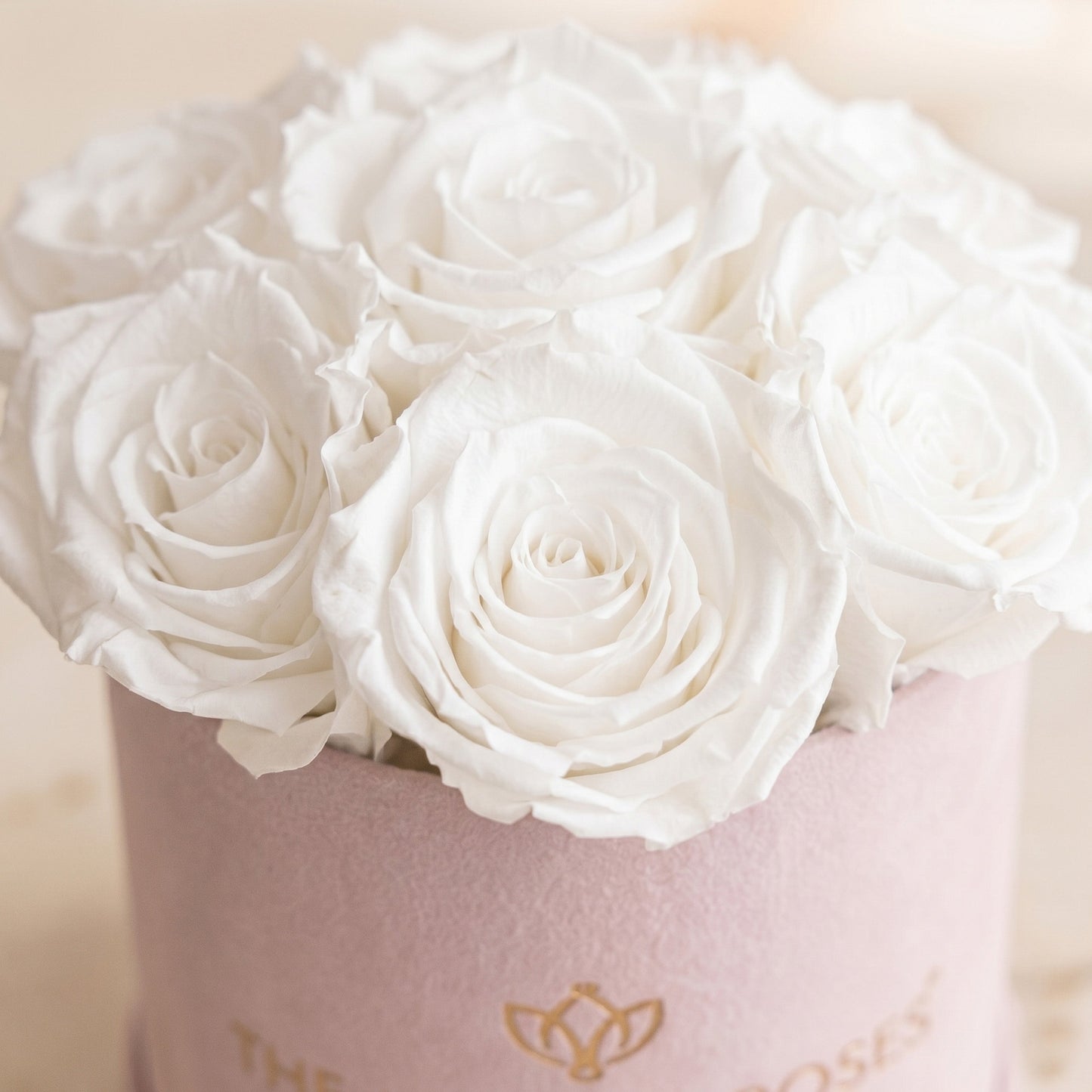 Essence Light Pink Suede Box | White Roses