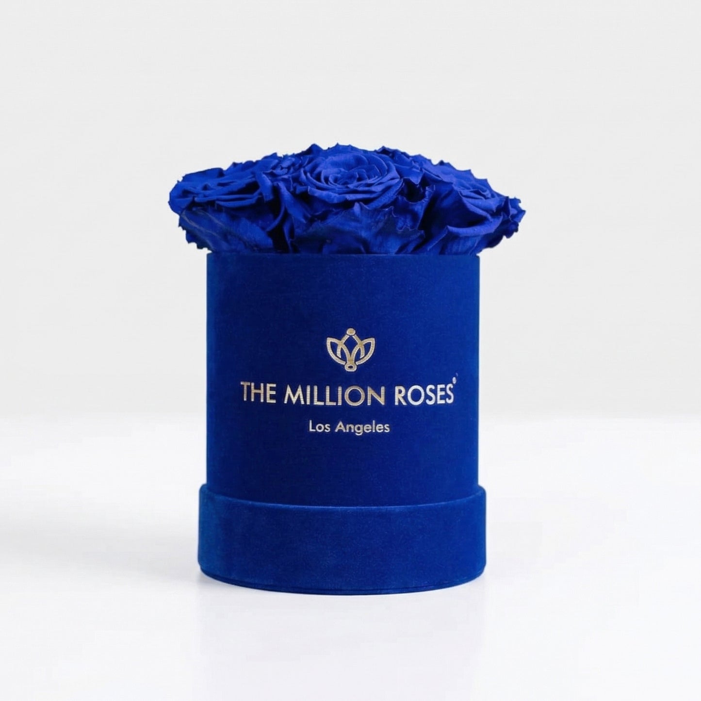 Essence Royal Blue Suede Box | Royal Blue Roses