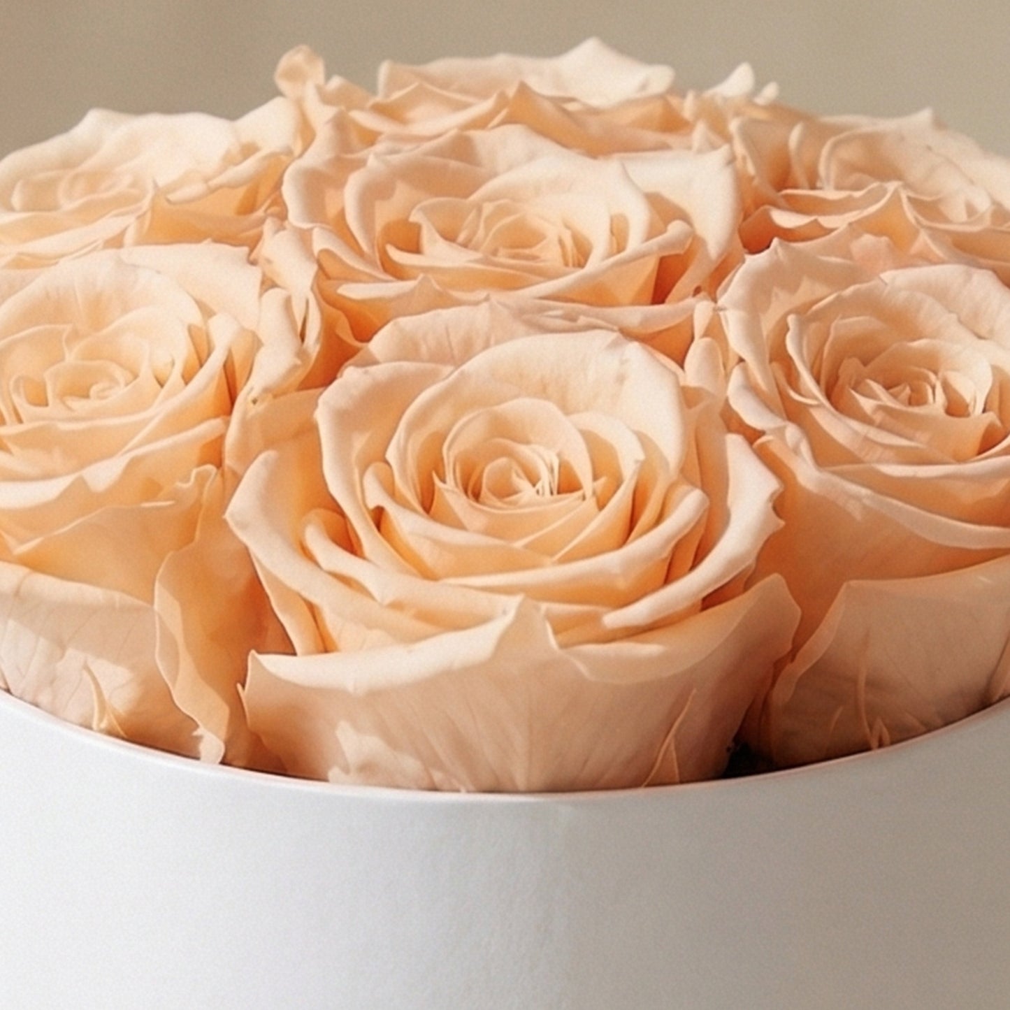Essence White Box | Peach Roses
