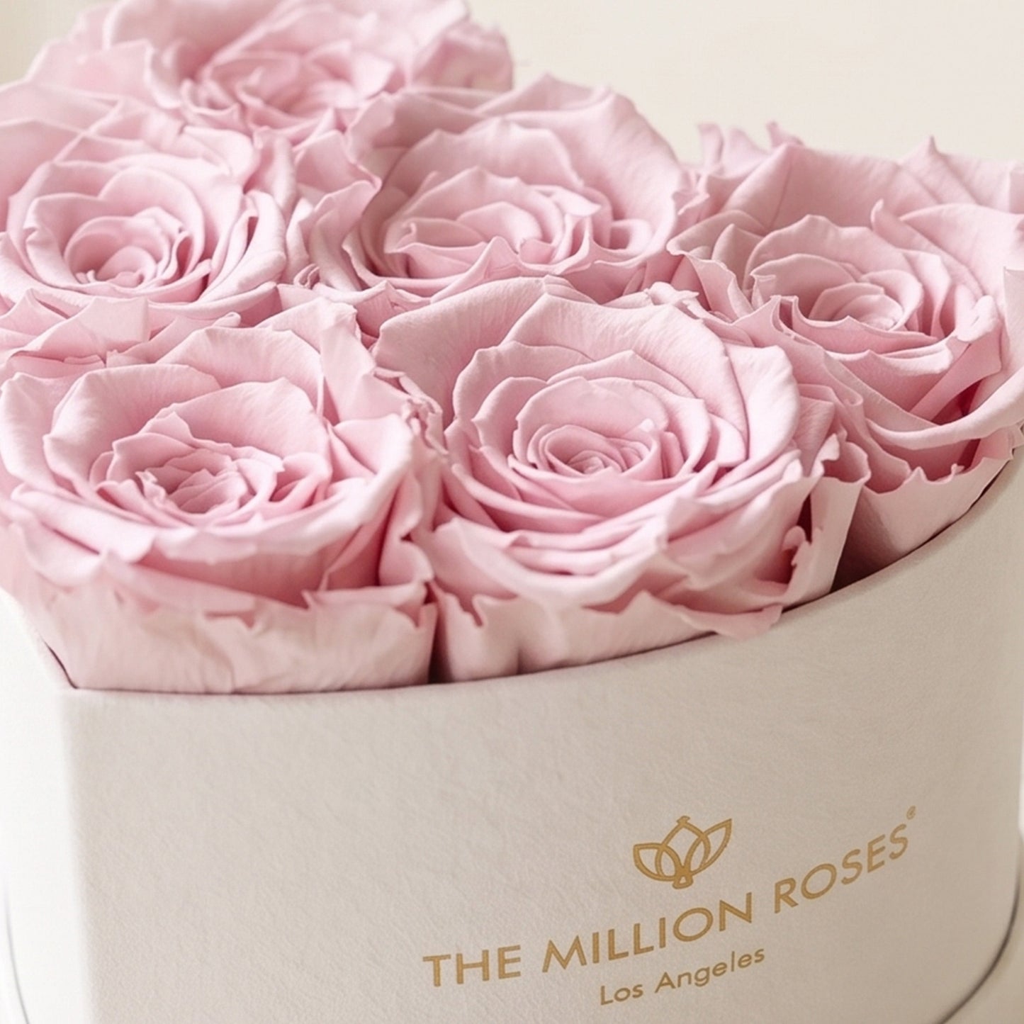 Baby Heart Beige Suede Box | Light Pink Roses