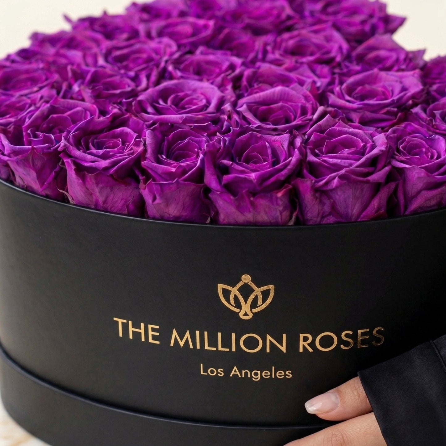 Heart Black Box | Bright Purple Roses