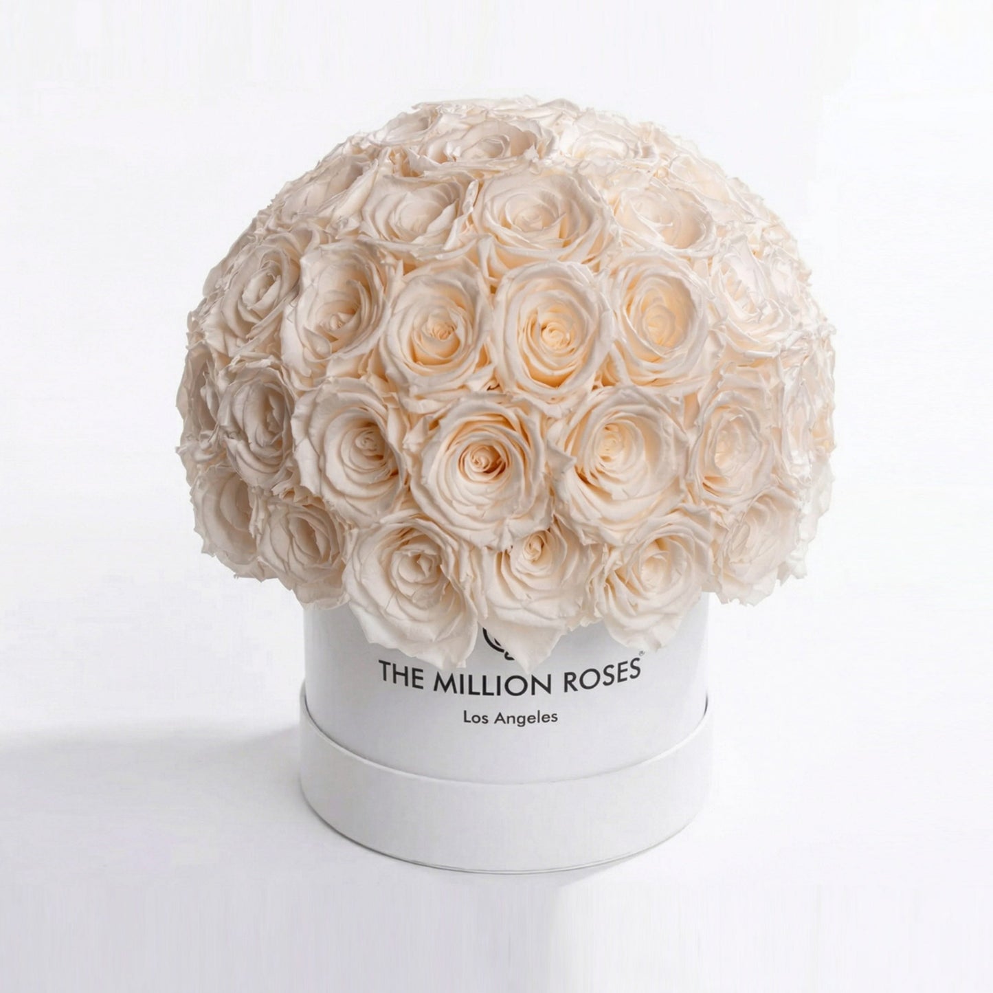 Classic White Superdome Box | White Roses