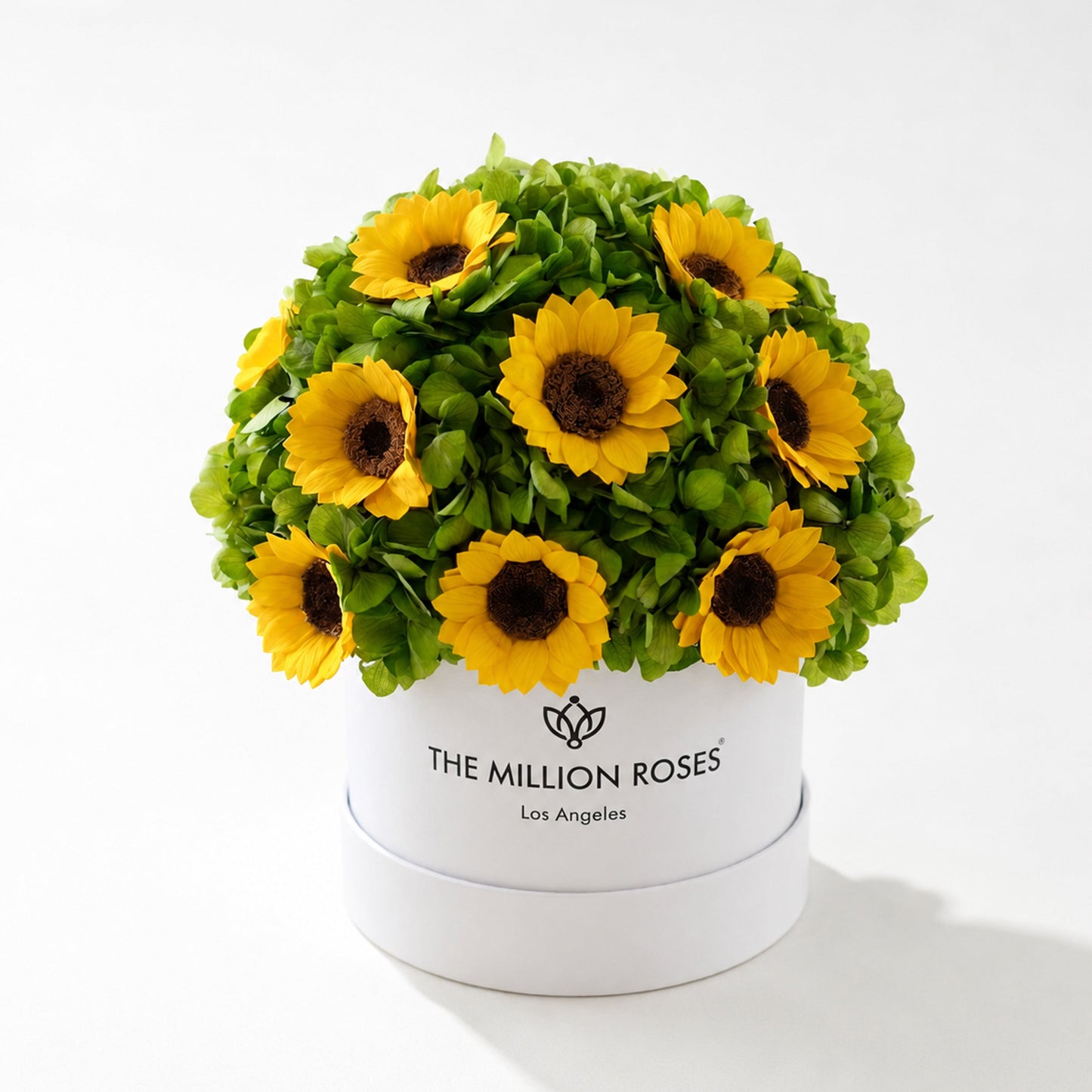 Classic White Box | Green Hydrangeas & Sunflowers