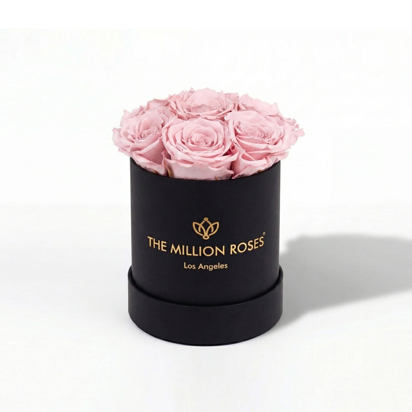 Essence Black Box | Light Pink Roses