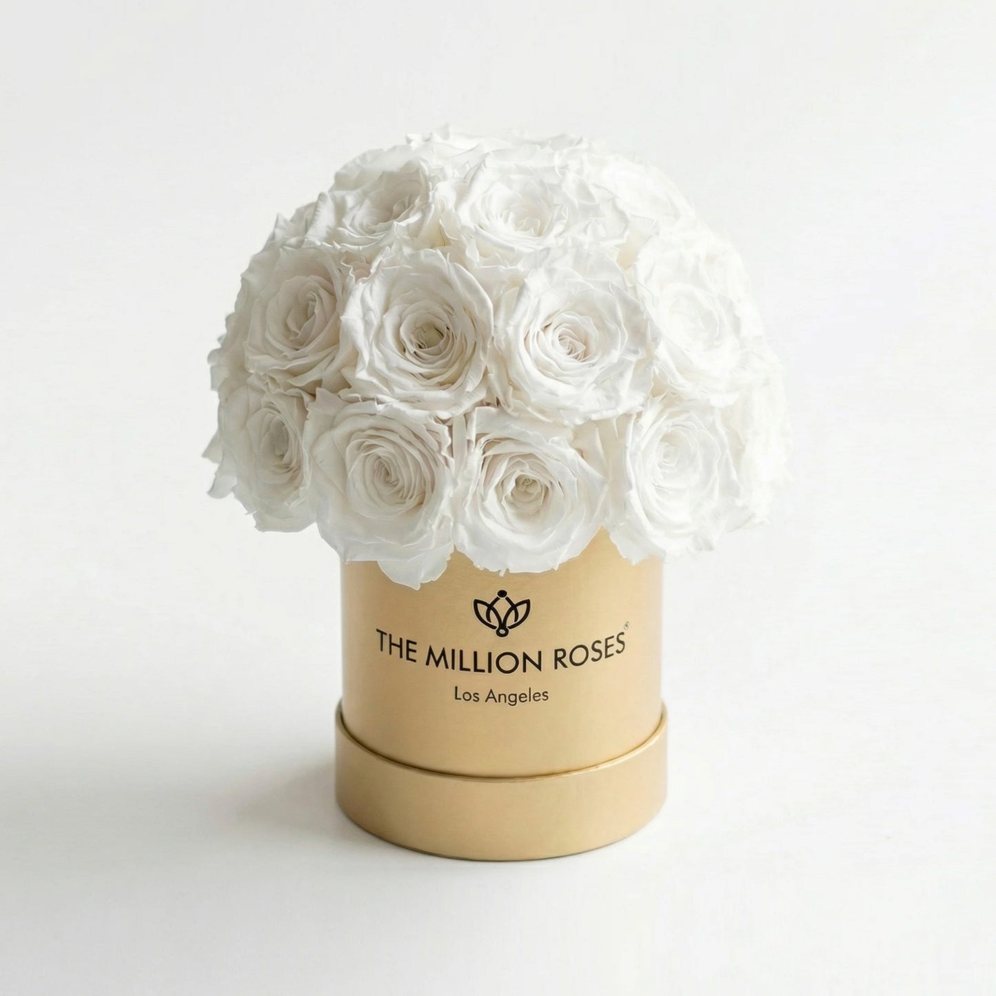 Essence Gold Superdome Box | White Roses
