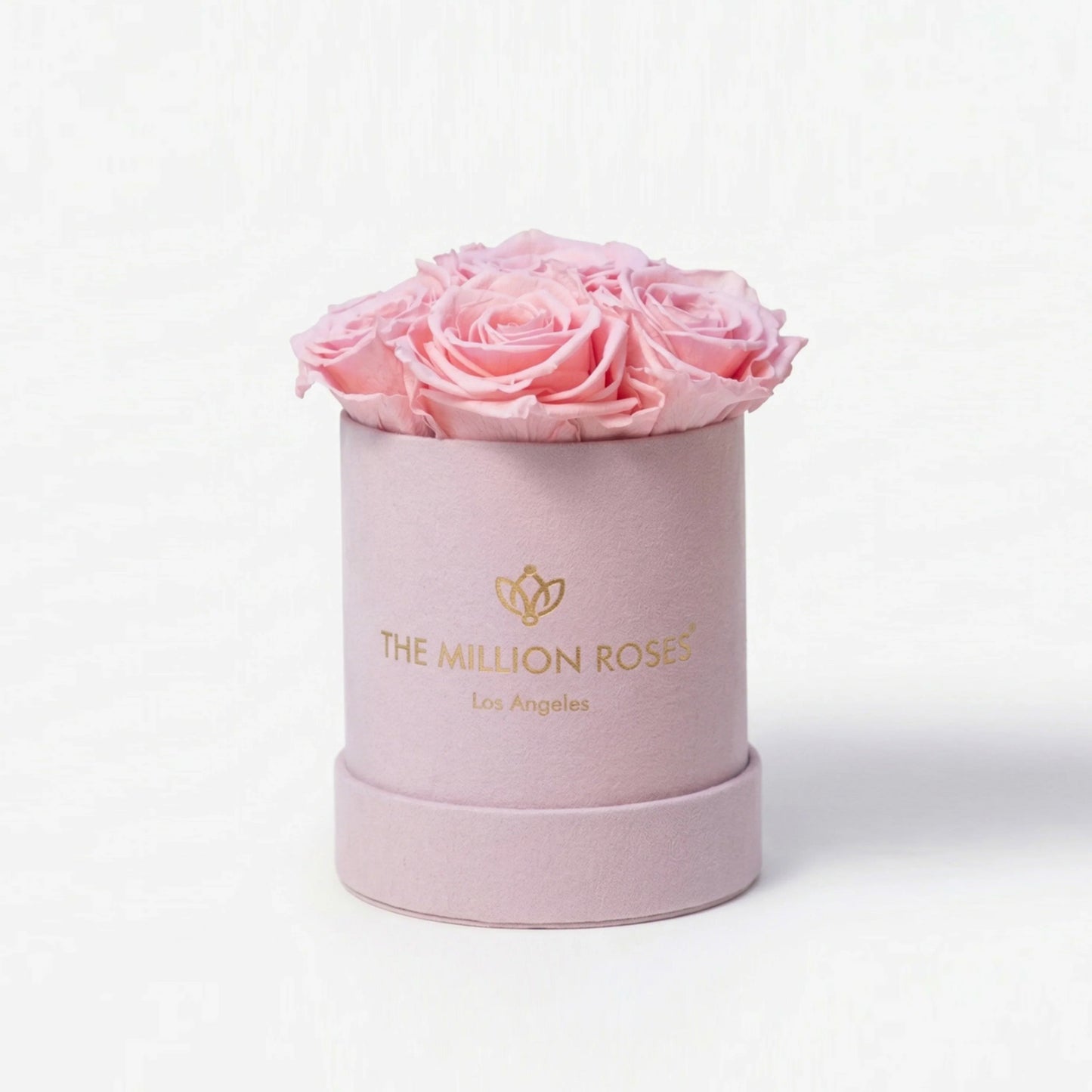 Essence Light Pink Suede Box | Light Pink Roses