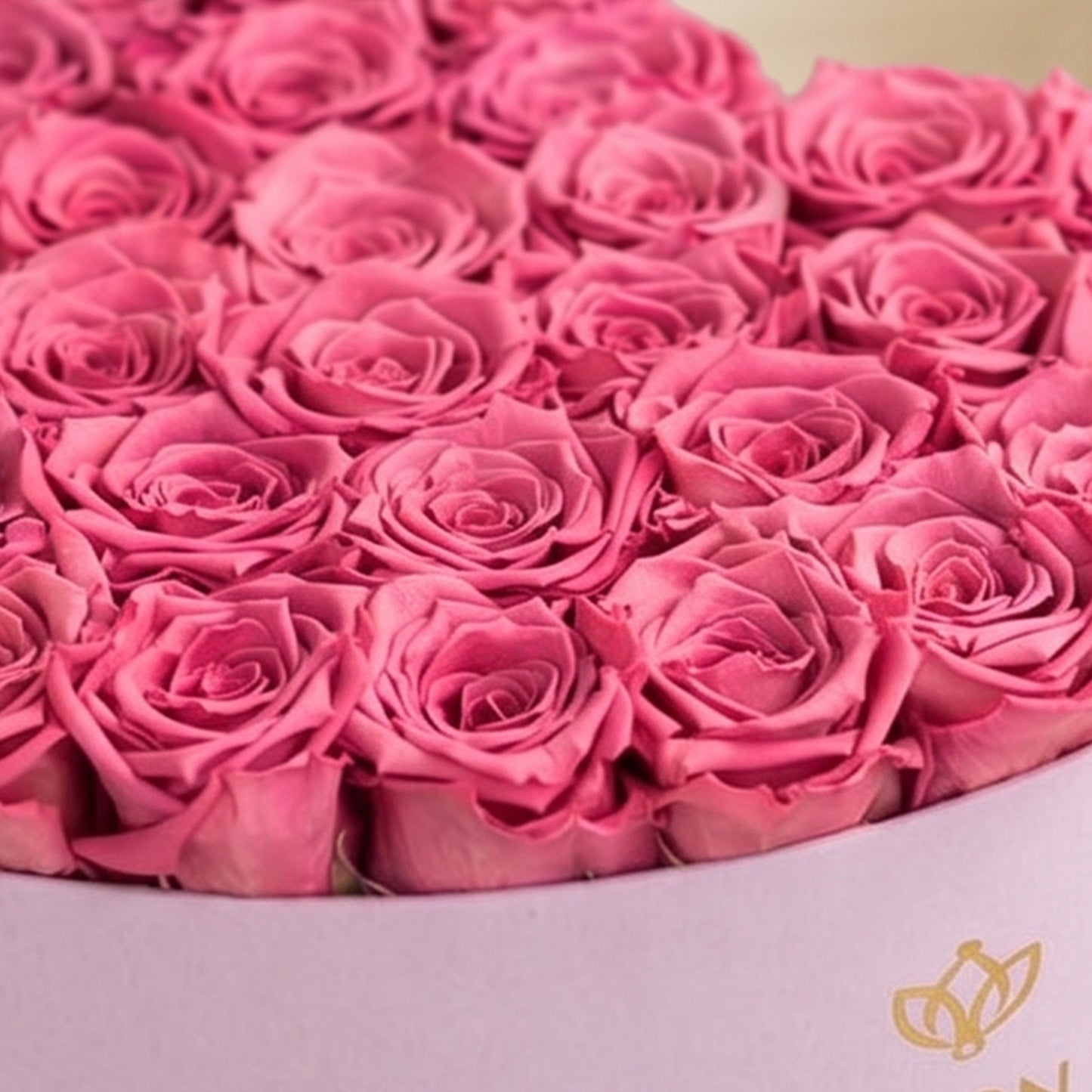 Heart Light Pink Suede Box | Orchid Roses
