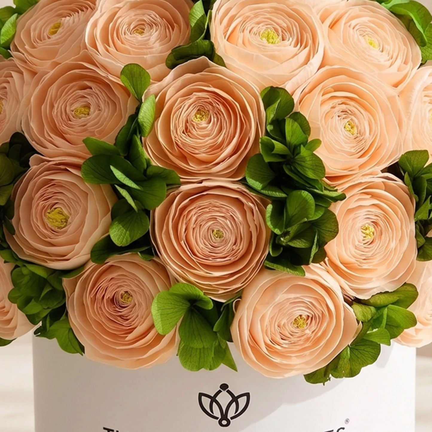 Classic White Box | Peach Persian Buttercups & Green Hydrangeas
