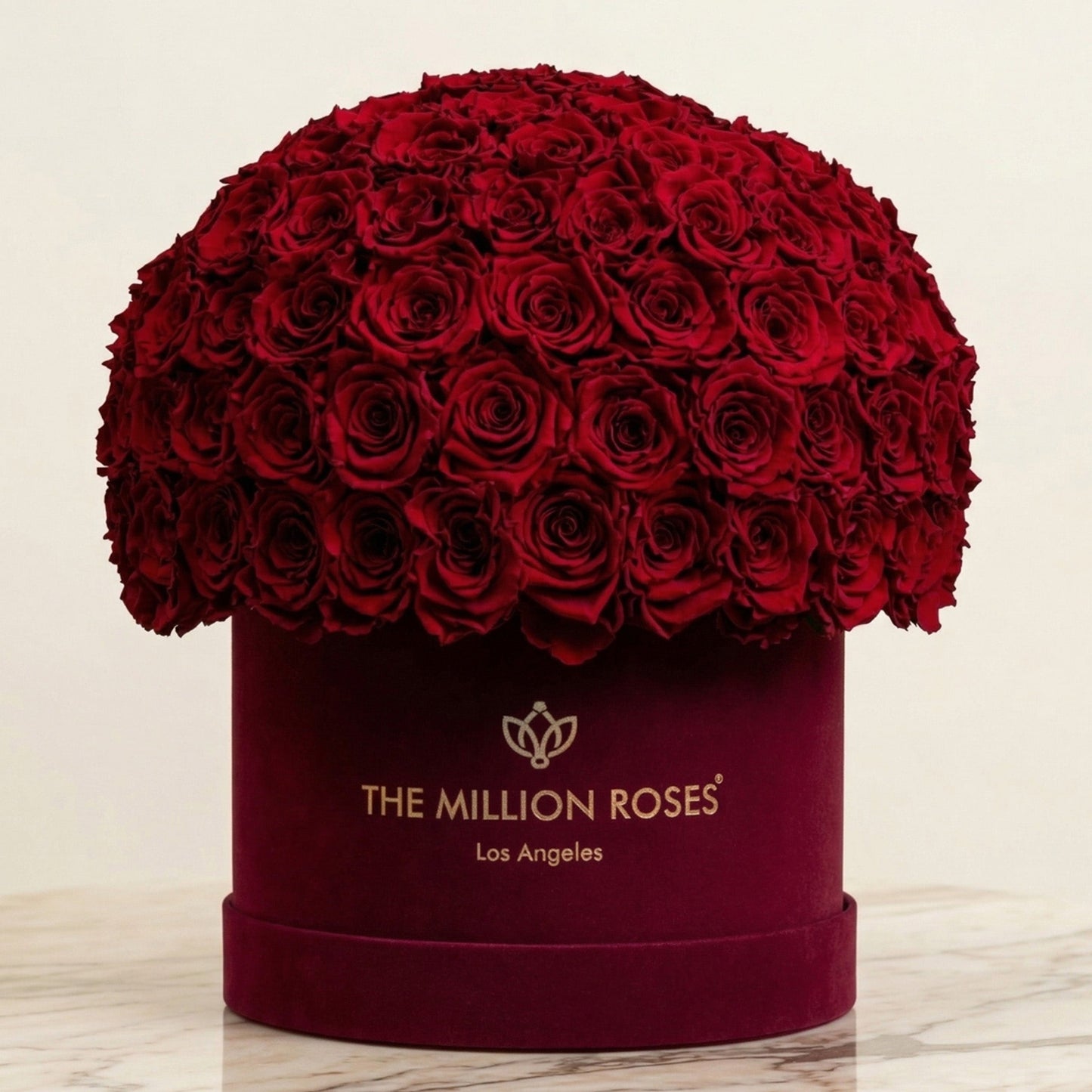Supreme Bordeaux Suede Superdome Box | Burgundy Roses