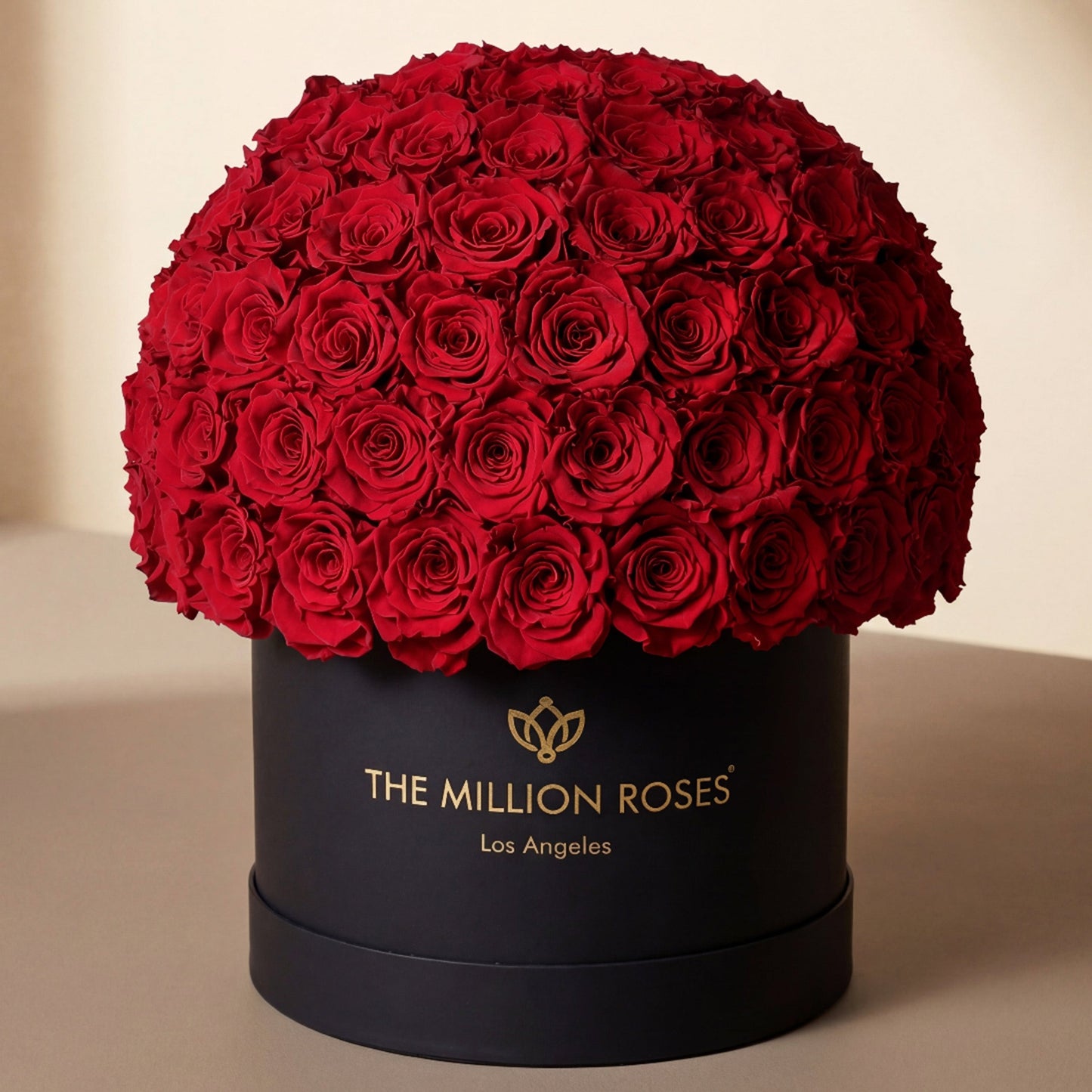 Supreme Black Superdome Box | Red Roses