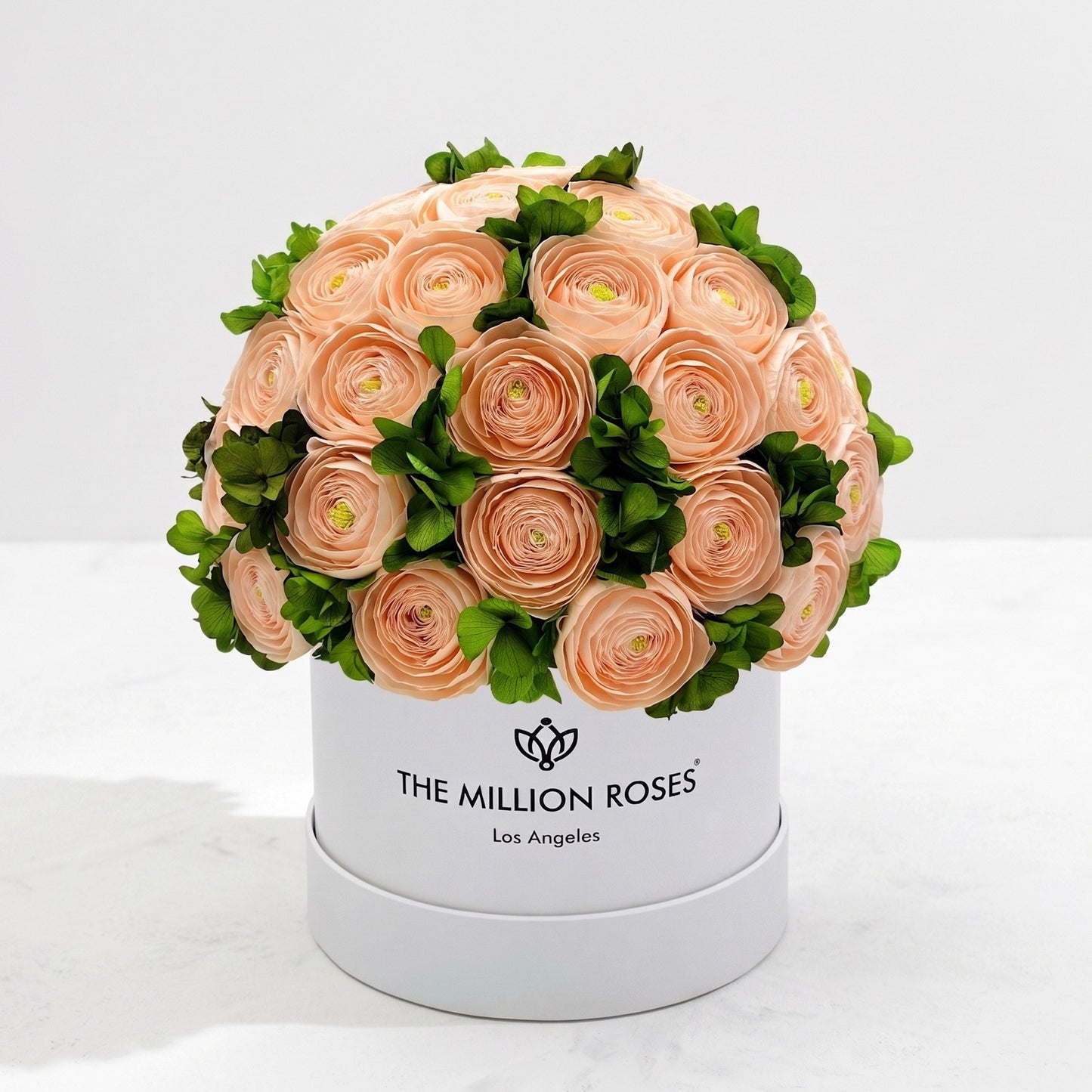 Classic White Box | Peach Persian Buttercups & Green Hydrangeas