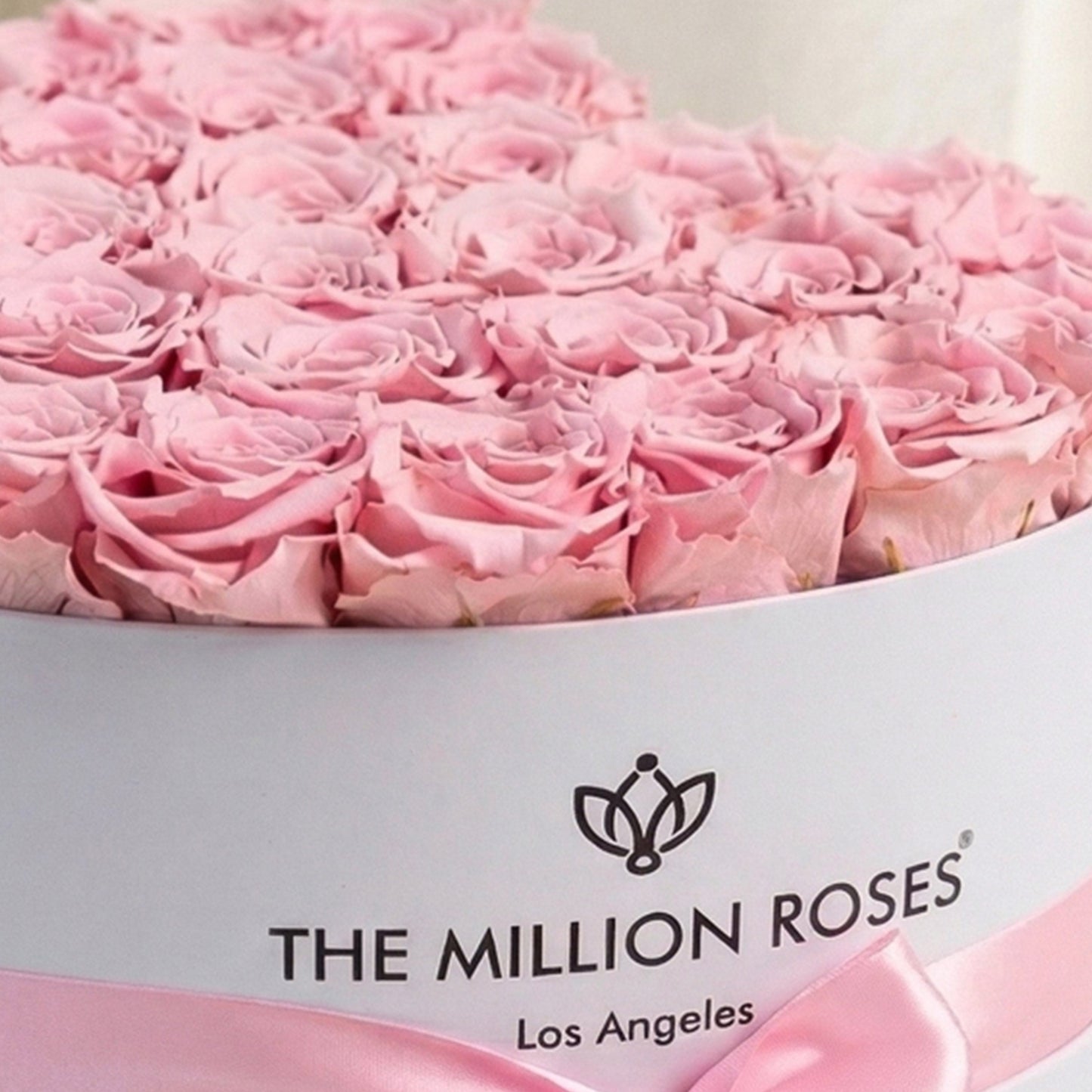 Heart White Box | Light Pink Roses
